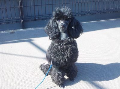2011 11.17 021.jpg