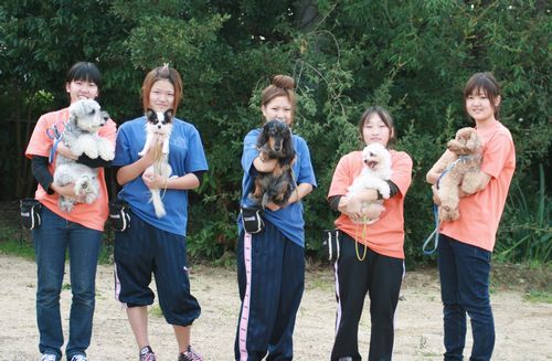 2011 11.2 048.jpg