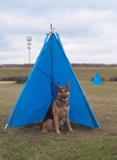 2011 11.23 024.jpg