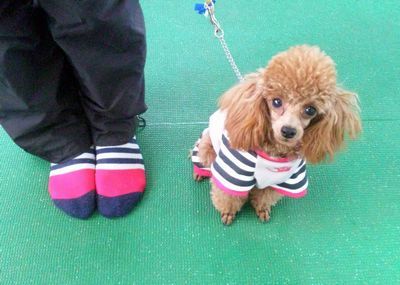2011 11.25 004.jpg