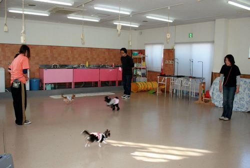 2011 11.26 004.jpg