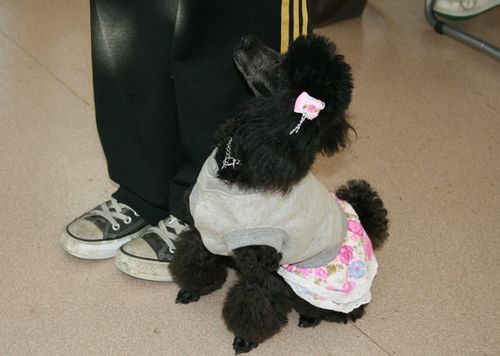 2011 11.26 010.jpg