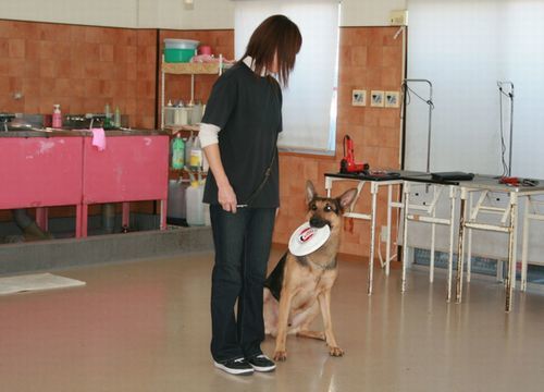 2011 11.26 028.jpg