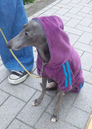 2011 11.29 032.jpg