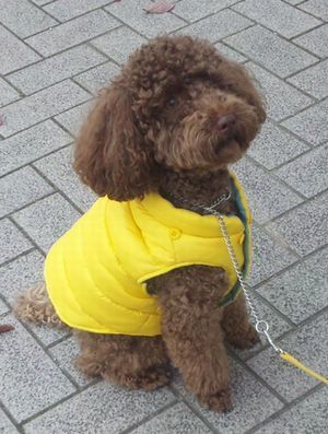 2011 11.29 033.jpg
