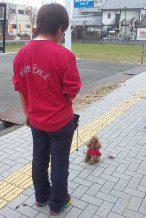 2011 11.29 035.jpg