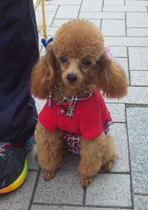 2011 11.29 036.jpg