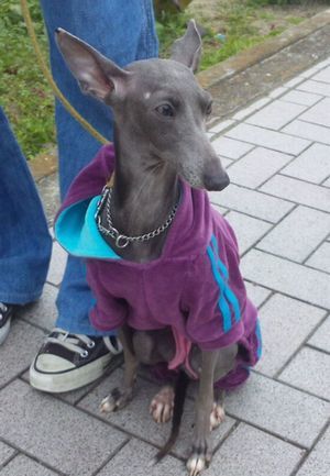 2011 11.29 040.jpg