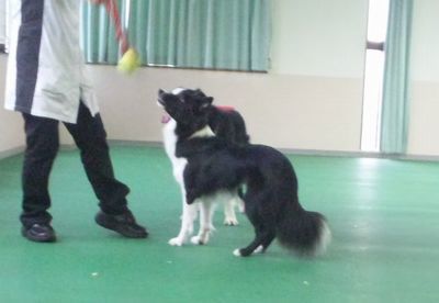 2011 11.8 007.jpg