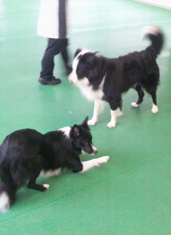 2011 11.8 009.jpg