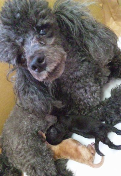2011 5.18 009.jpg