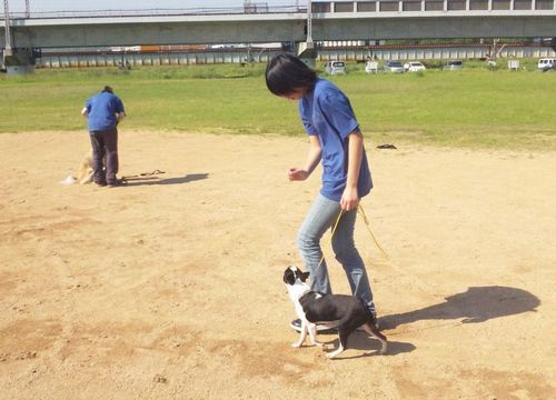 2011 5.18 013.jpg