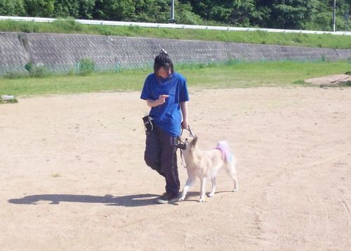 2011 5.18 018.jpg