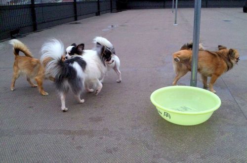 2011 5.25 011.jpg