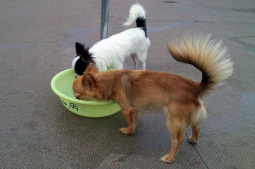 2011 5.25 021.jpg