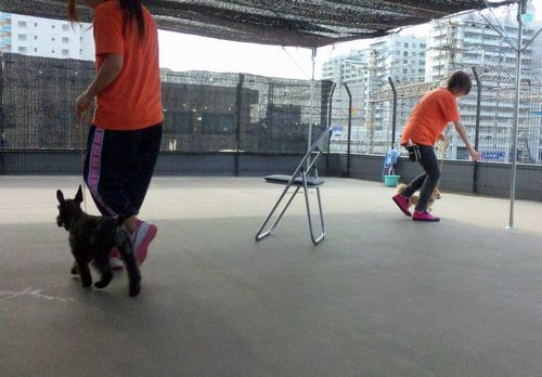 2011 5.25 045.jpg