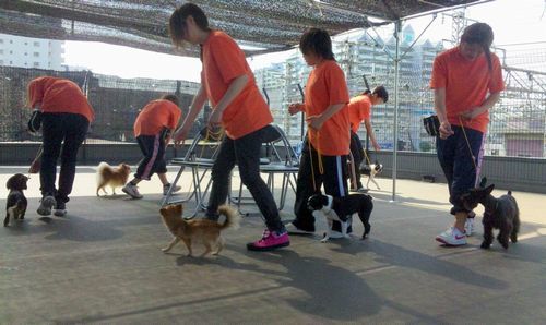 2011 5.25 059.jpg