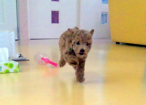 2011 5.28 010.jpg