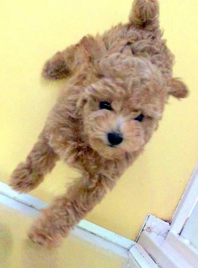 2011 5.28 015.jpg