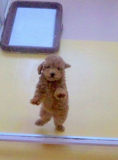 2011 5.28 017.jpg