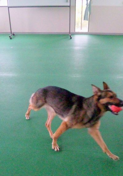 2011 5.28 018.jpg
