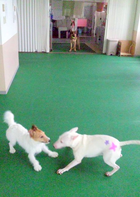 2011 5.28 019.jpg