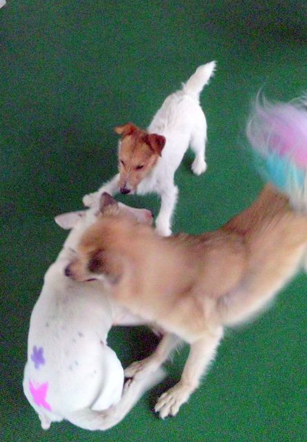 2011 5.28 024.jpg