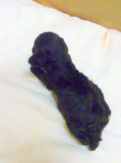 2011 5.28 028.jpg