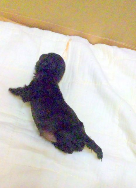 2011 5.28 029.jpg