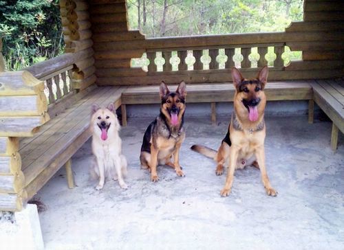2011 5.3 01.jpg