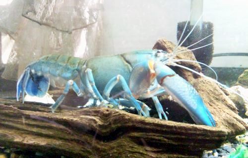 2011 5.3 031.jpg