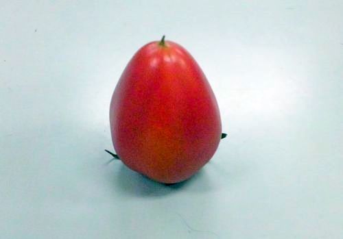 2011 5.3 041.jpg