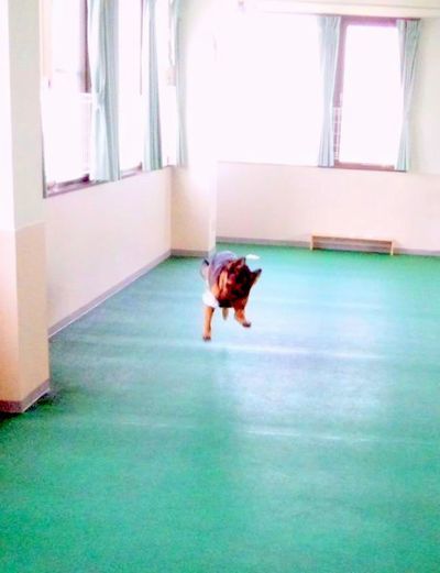 2011 5.3 043.jpg