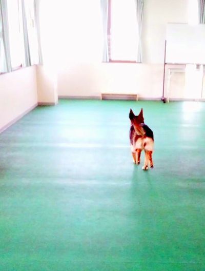 2011 5.3 044.jpg