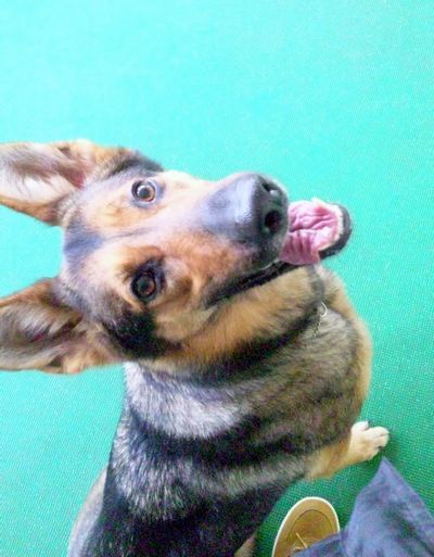2011 5.3 045.jpg