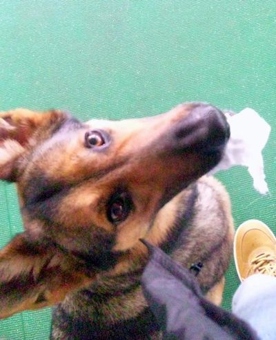 2011 5.3 060.jpg