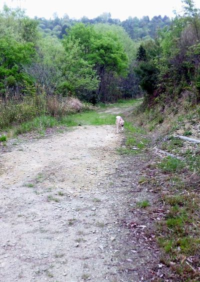 2011 5.3 093.jpg