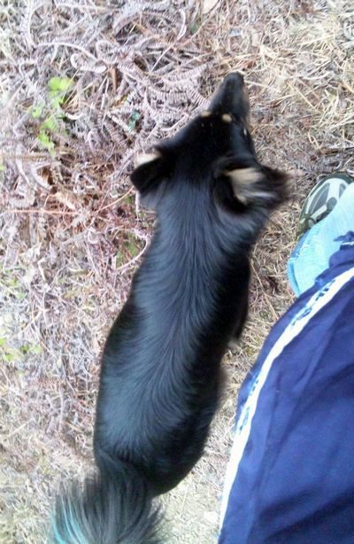 2011 5.4 014.jpg