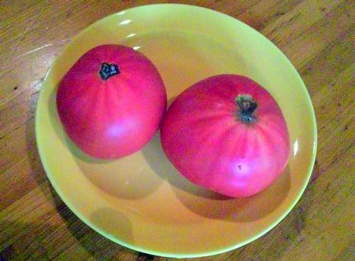 2011 5.4 029.jpg