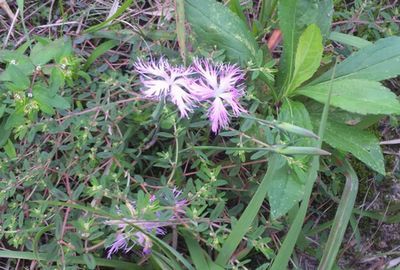 2011 9.30 015.jpg