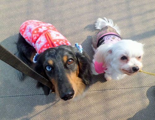 2012.1.27 016.jpg