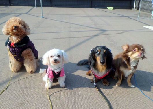 2012.1.27 021.jpg