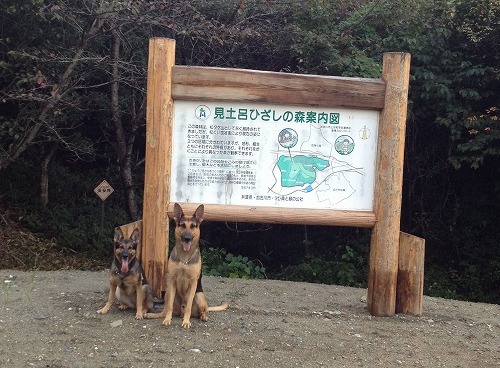 2012.10.29 003.jpg