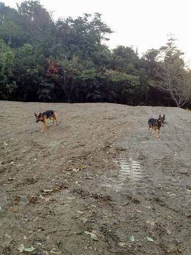 2012.10.29 013.jpg