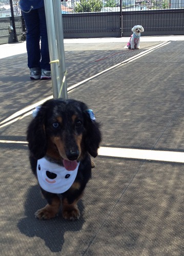 2012.7.11 017.jpg
