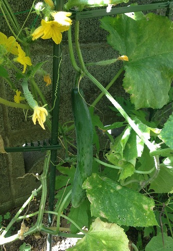 2012.7.16 004.jpg