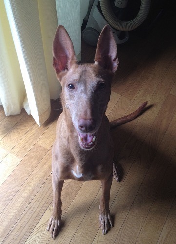 2012.7.16 009.jpg
