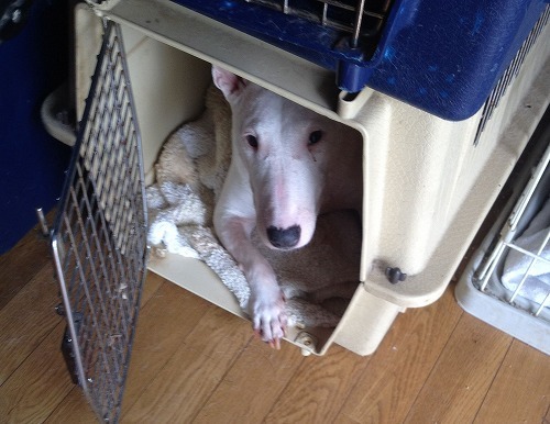 2012.7.16 014.jpg