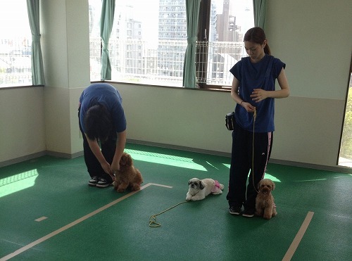 2012.7.19 015.jpg