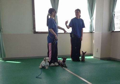 2012.7.19 018.jpg